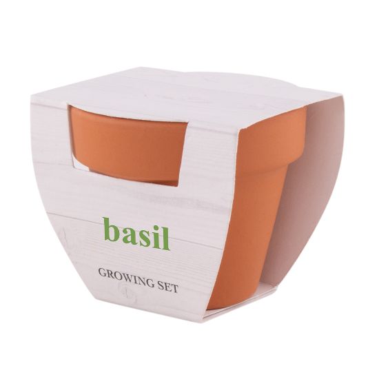 Imatge de Test Basil