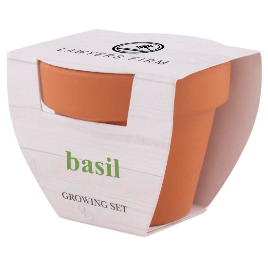 Imatge de Test Basil