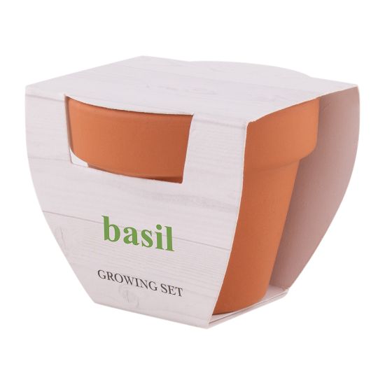 Imatge de Test Basil