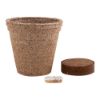 Imatge de Maceta Biodegradable Ceres