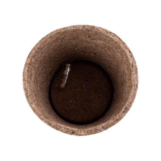 Imatge de Maceta Biodegradable Ceres