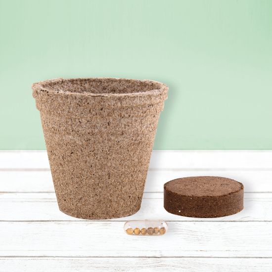 Imatge de Maceta Biodegradable Ceres
