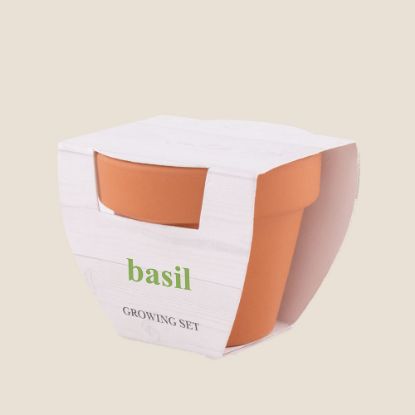 Imatge de Test Basil