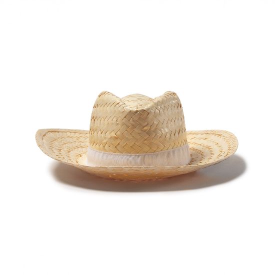 Imagen de Sombrero Milos Con Cinta Sublimacion