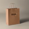 Image de Sac Kraft Gali 25X31x11