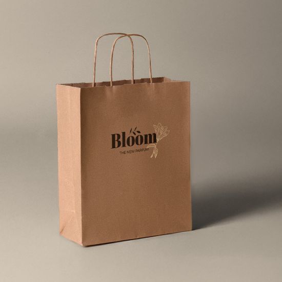 Image de Sac Kraft Gali 25X31x11