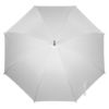 Imatge de Paragues Monsoon