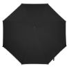 Imatge de Paragues Monsoon