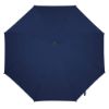 Imatge de Paragues Monsoon