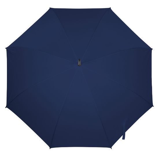 Imatge de Paragues Monsoon