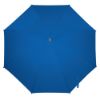 Imatge de Paragues Monsoon