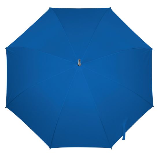 Imatge de Paragues Monsoon