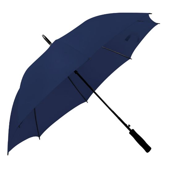 Imatge de Paragues Monsoon