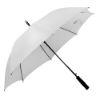 Imatge de Paragues Monsoon
