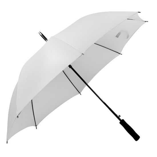 Imatge de Paragues Monsoon