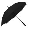 Imatge de Paragues Monsoon